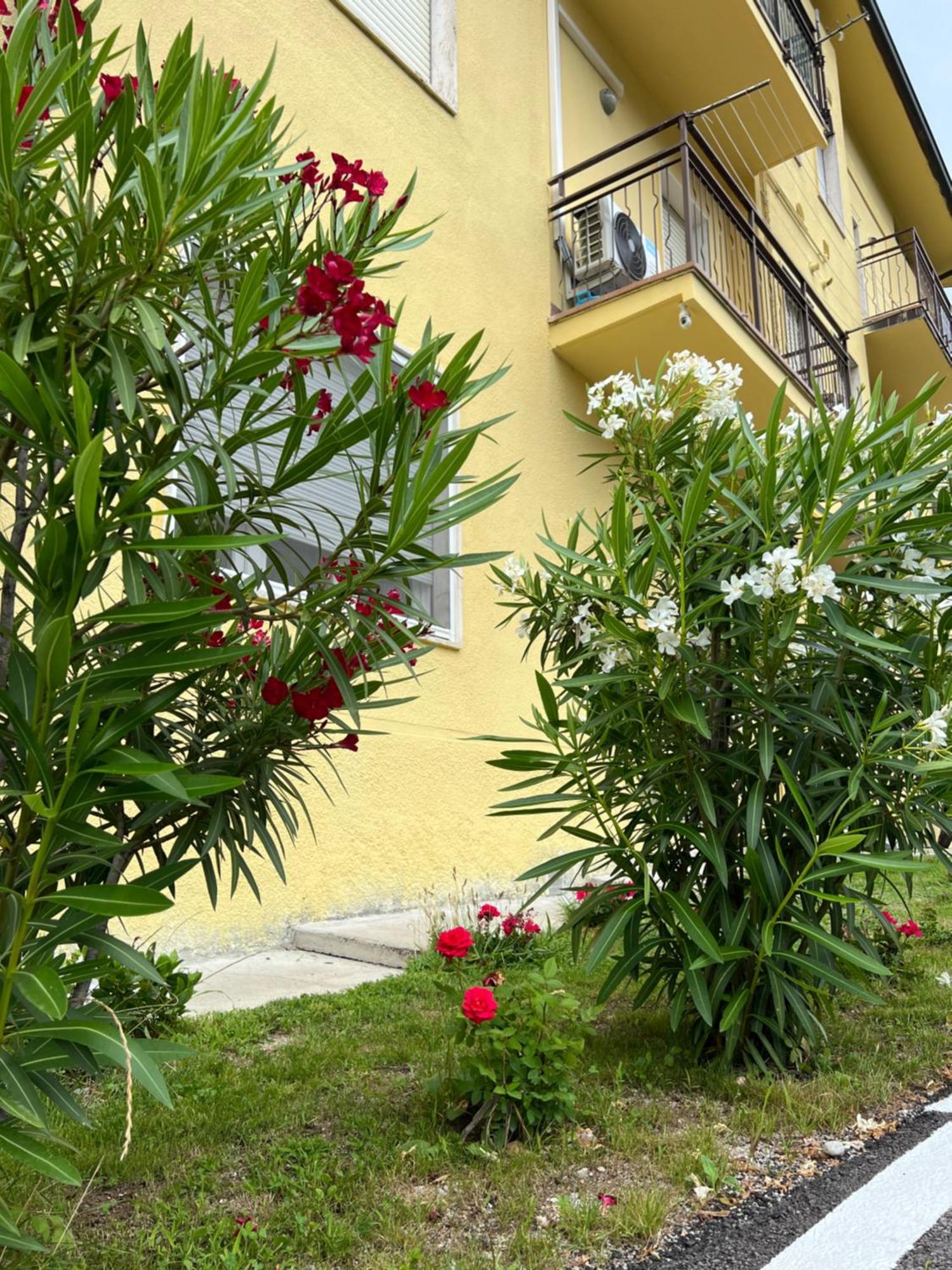 הוילה Valbrona Casa R&E מראה חיצוני תמונה